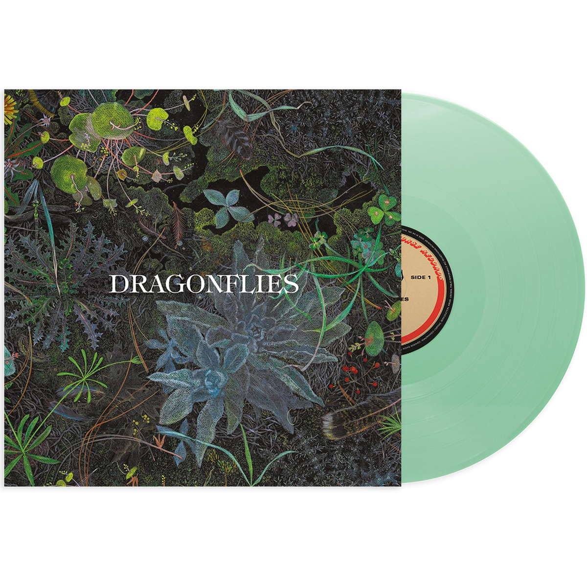 Dragonflies