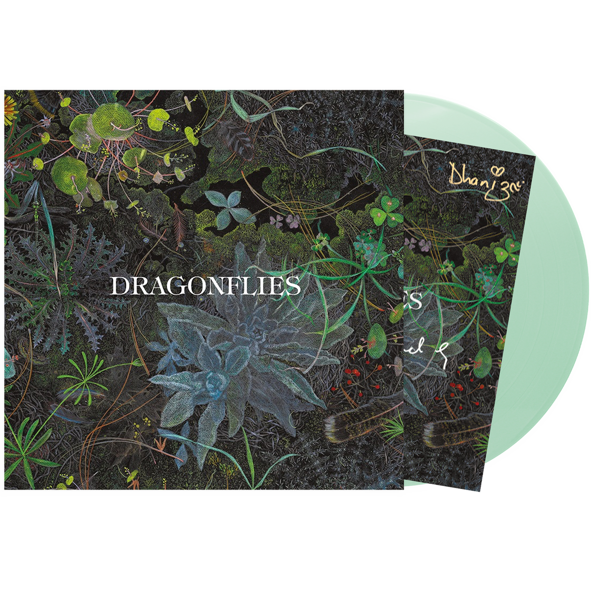 Dragonflies