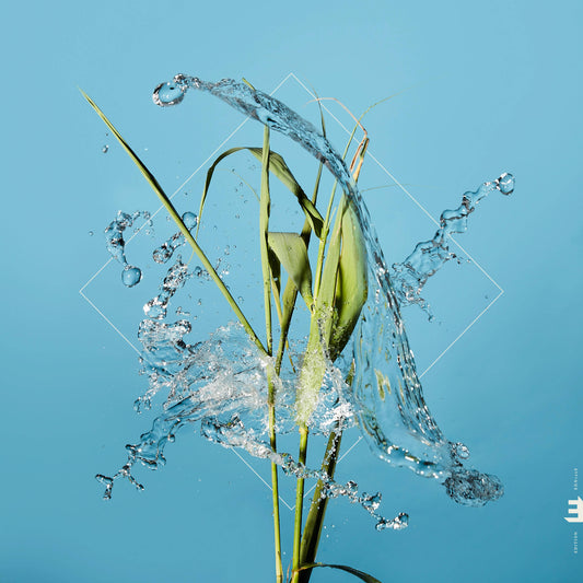 Stream