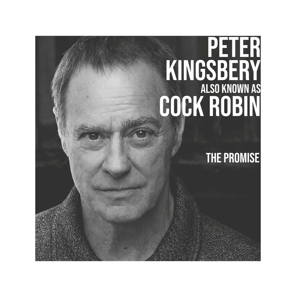 PETER KINGSBERY AKA COCK ROBIN – THE PROMISE album cover