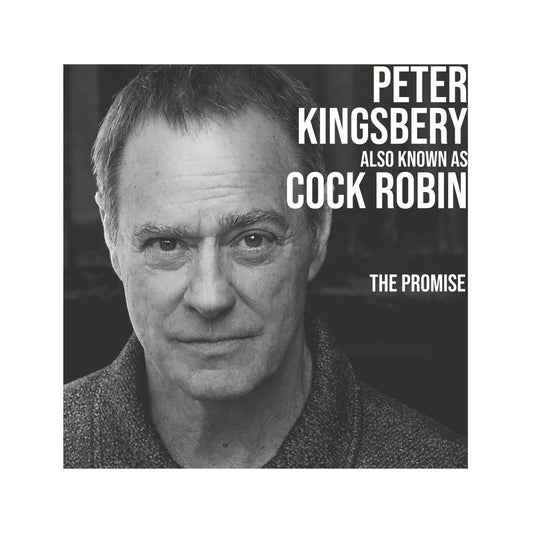 PETER KINGSBERY AKA COCK ROBIN – THE PROMISE album cover