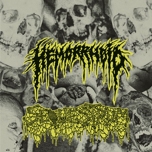 Hemorrhoid / Sequestrum - Split cover artwork