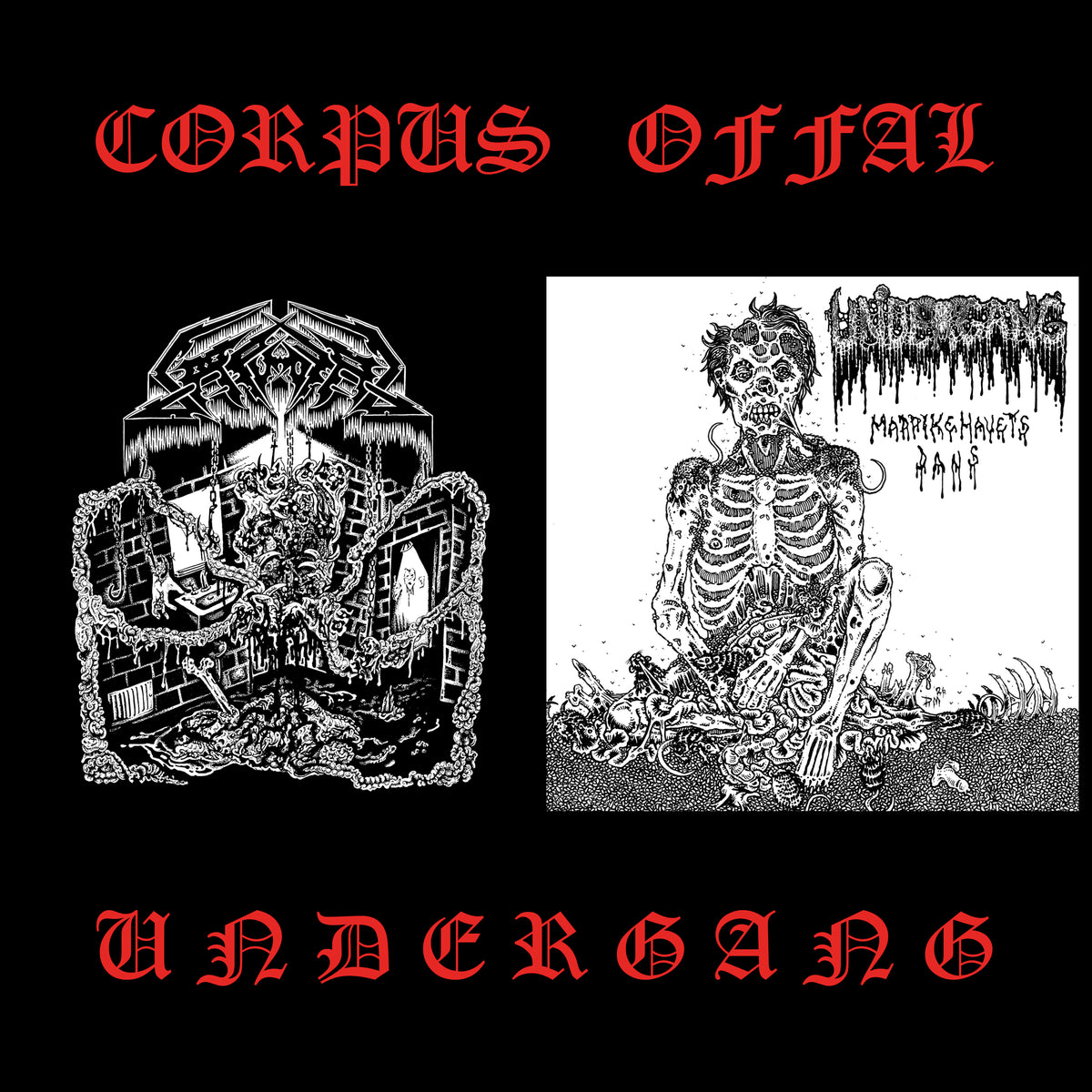 Corpus Offal / Undergang - Split cover artwork