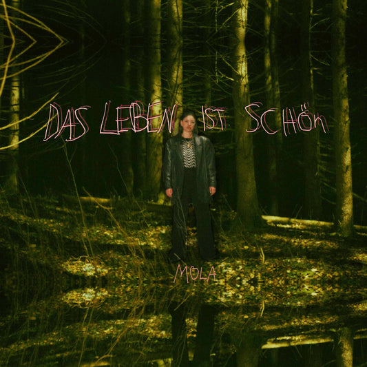 Das Leben ist Schön