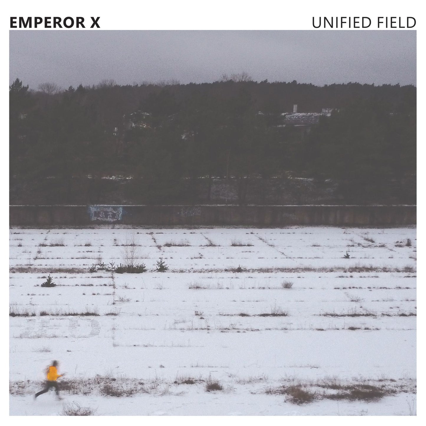 Unified Field