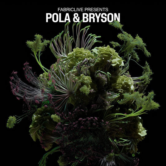 Fabriclive Presents Pola and Bryson