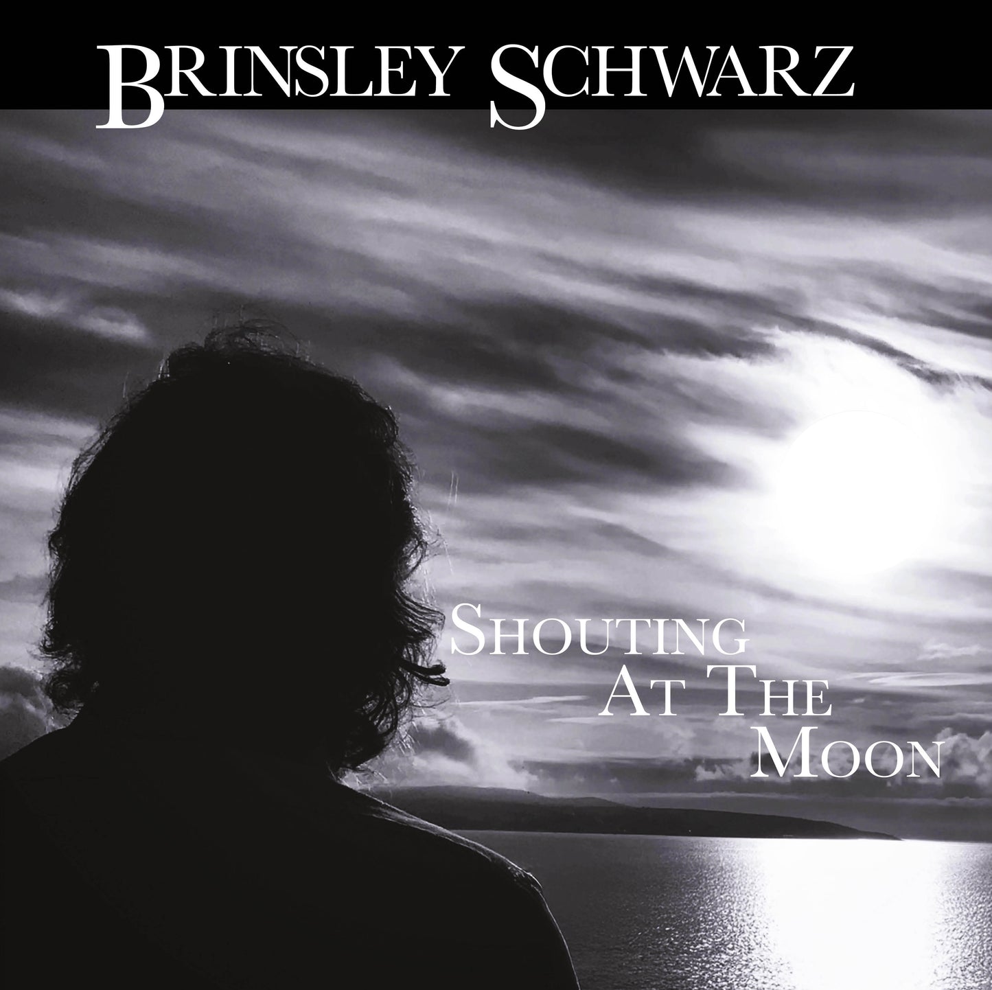 Shouting At The Moon