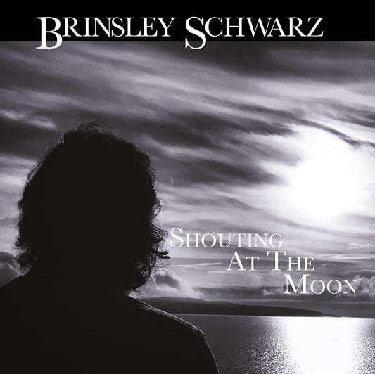 Shouting At The Moon
