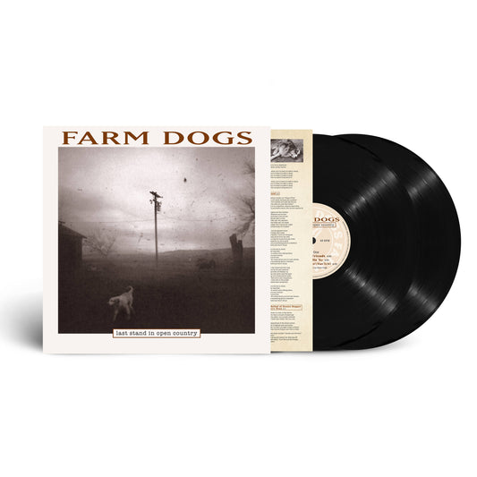 Last Stand In Open Country - RSD 2024