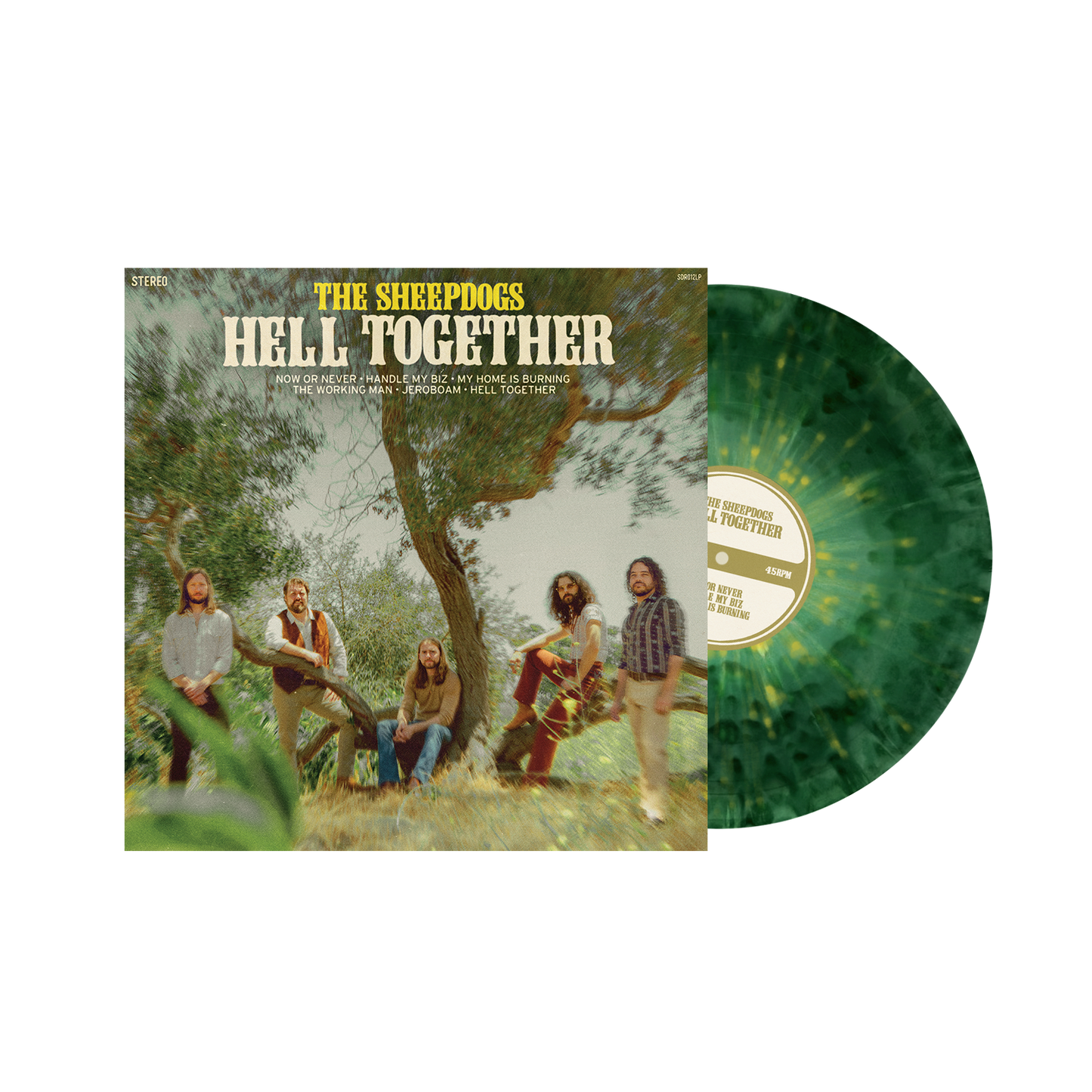 HT-vinyl.png