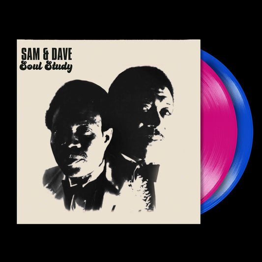 Sam and Dave - Soul Study: The Nashville Sessions Product Image