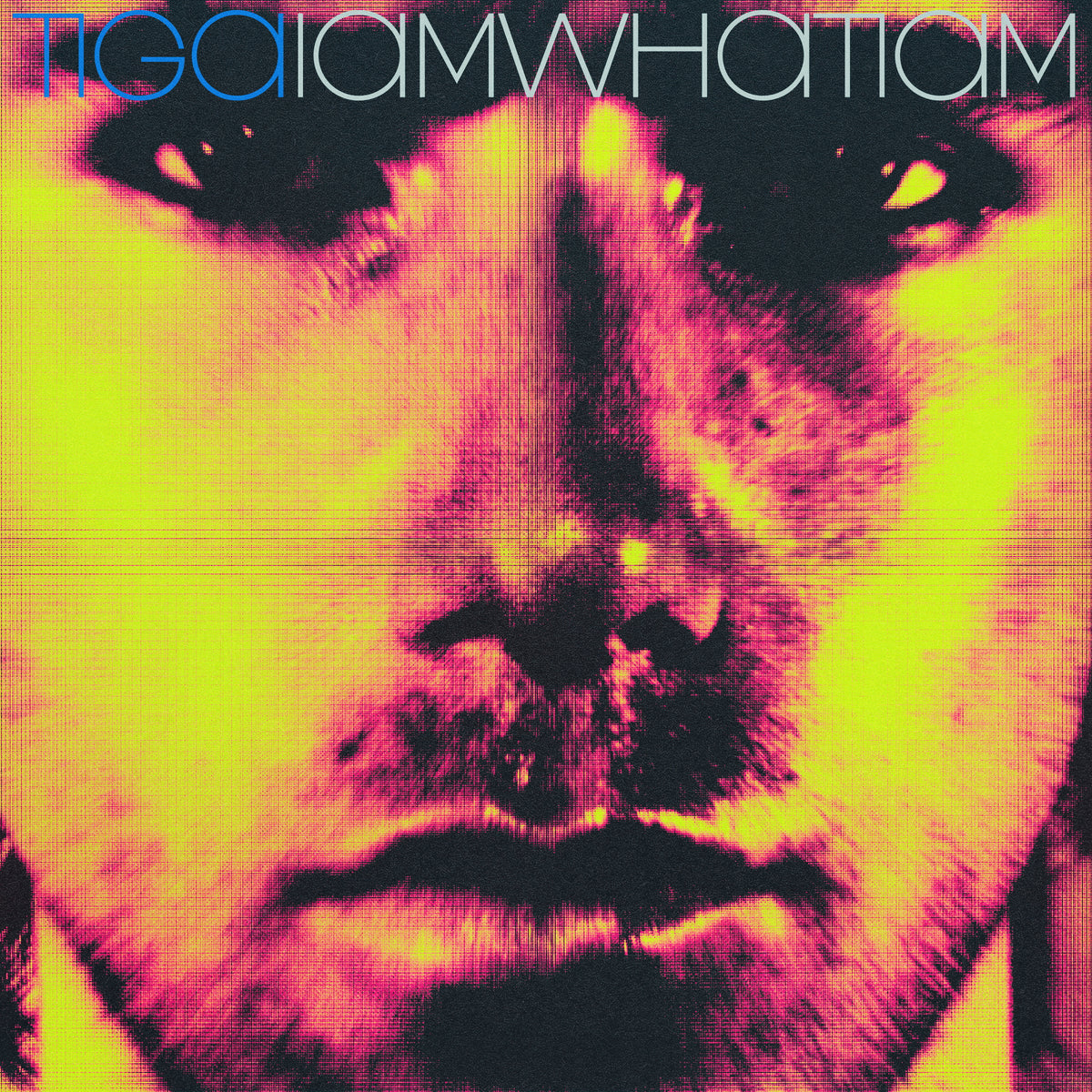 AMWHATIAM (Remixes)