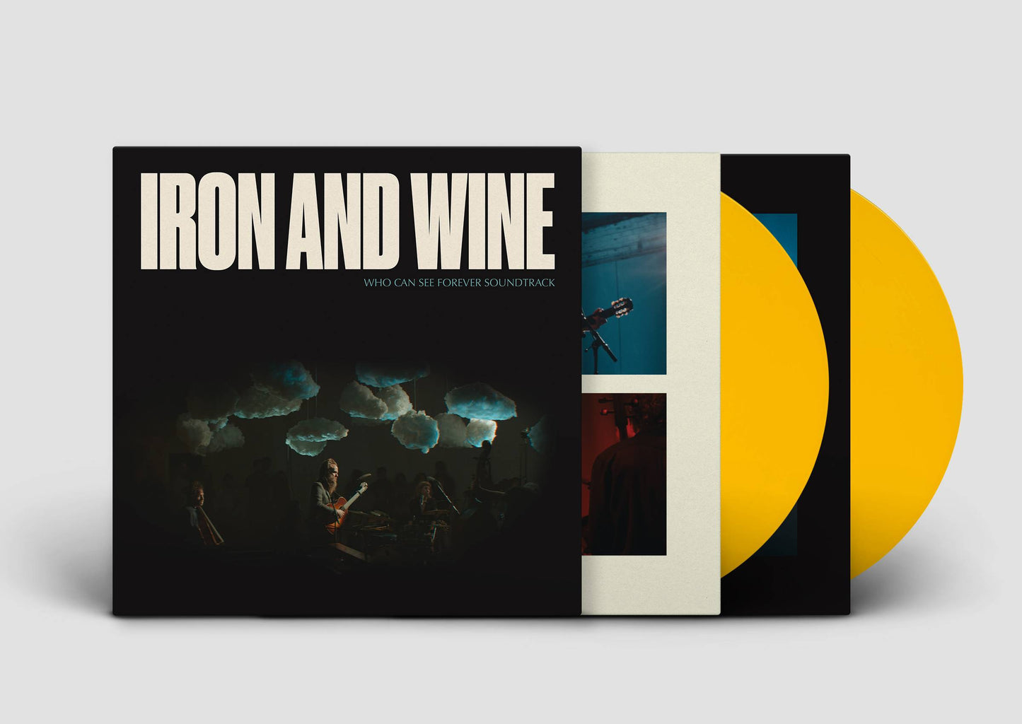 IronAndWine_WCSFS_2xEULoser_MockUp.jpg