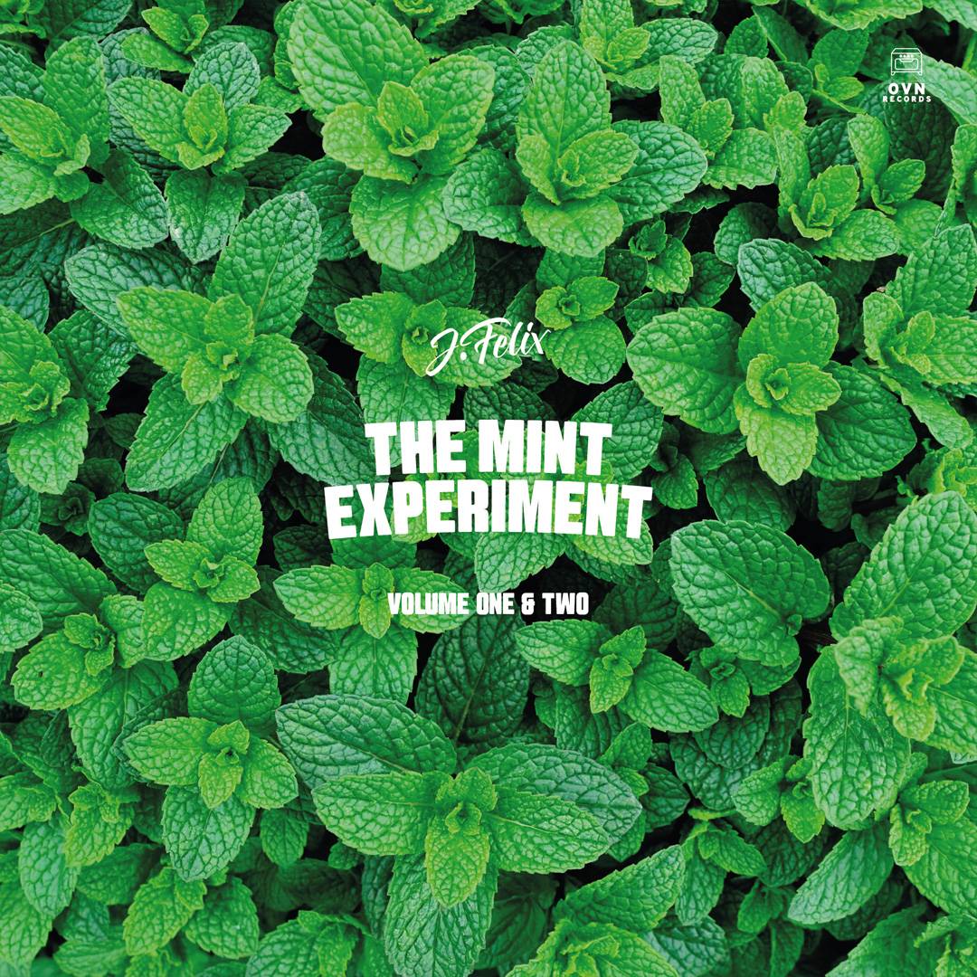 The Mint Experiment Volume 1 and 2