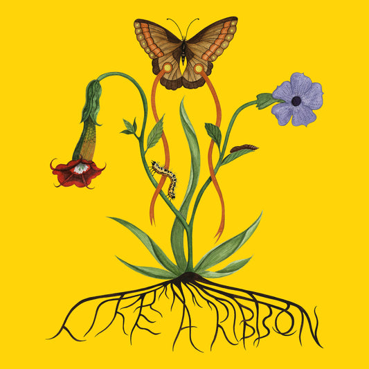 Like A Ribbon (Album)