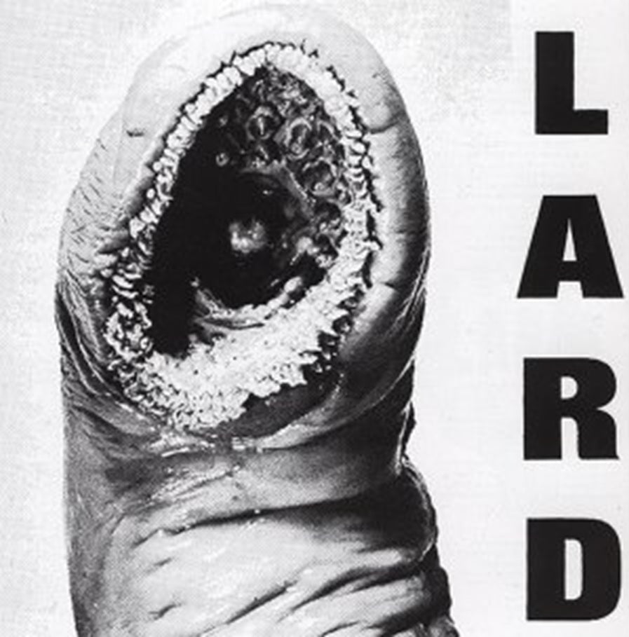 Power Of Lard