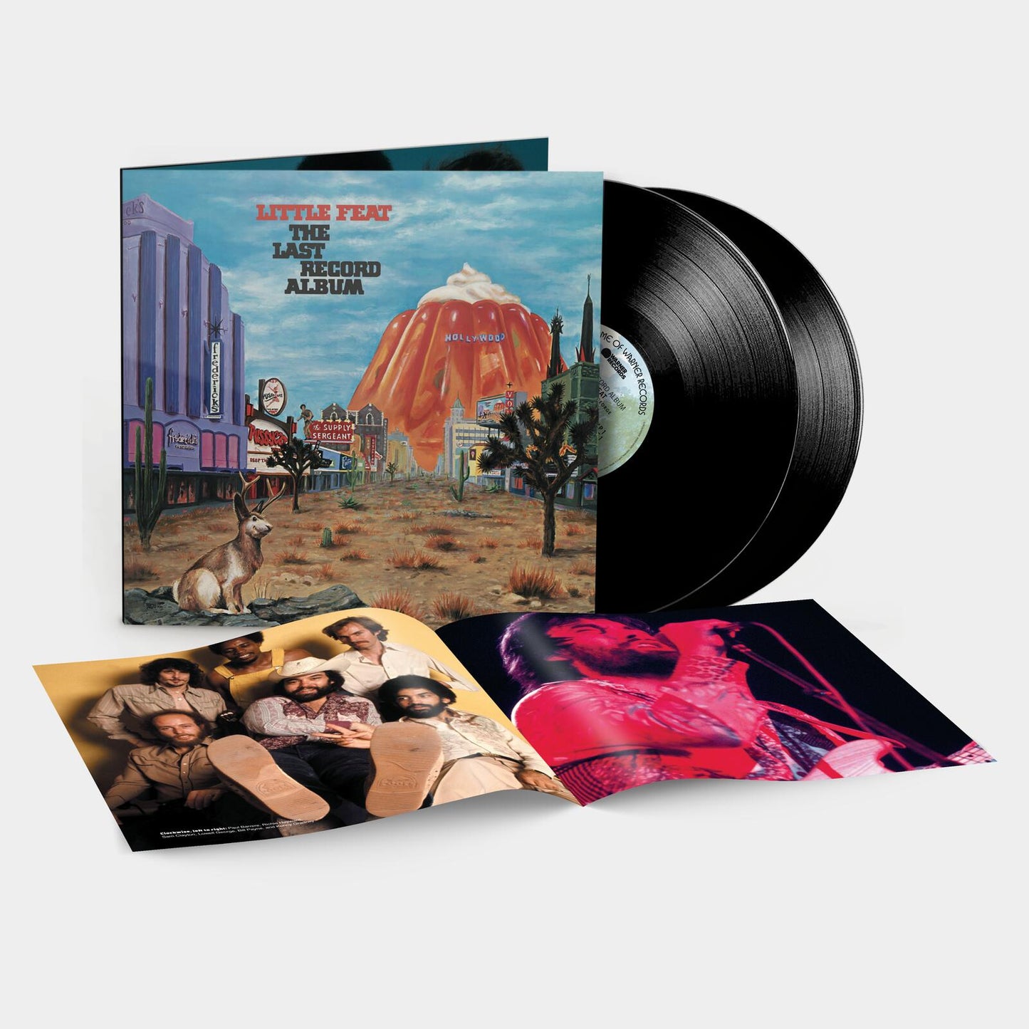The Last Record Album