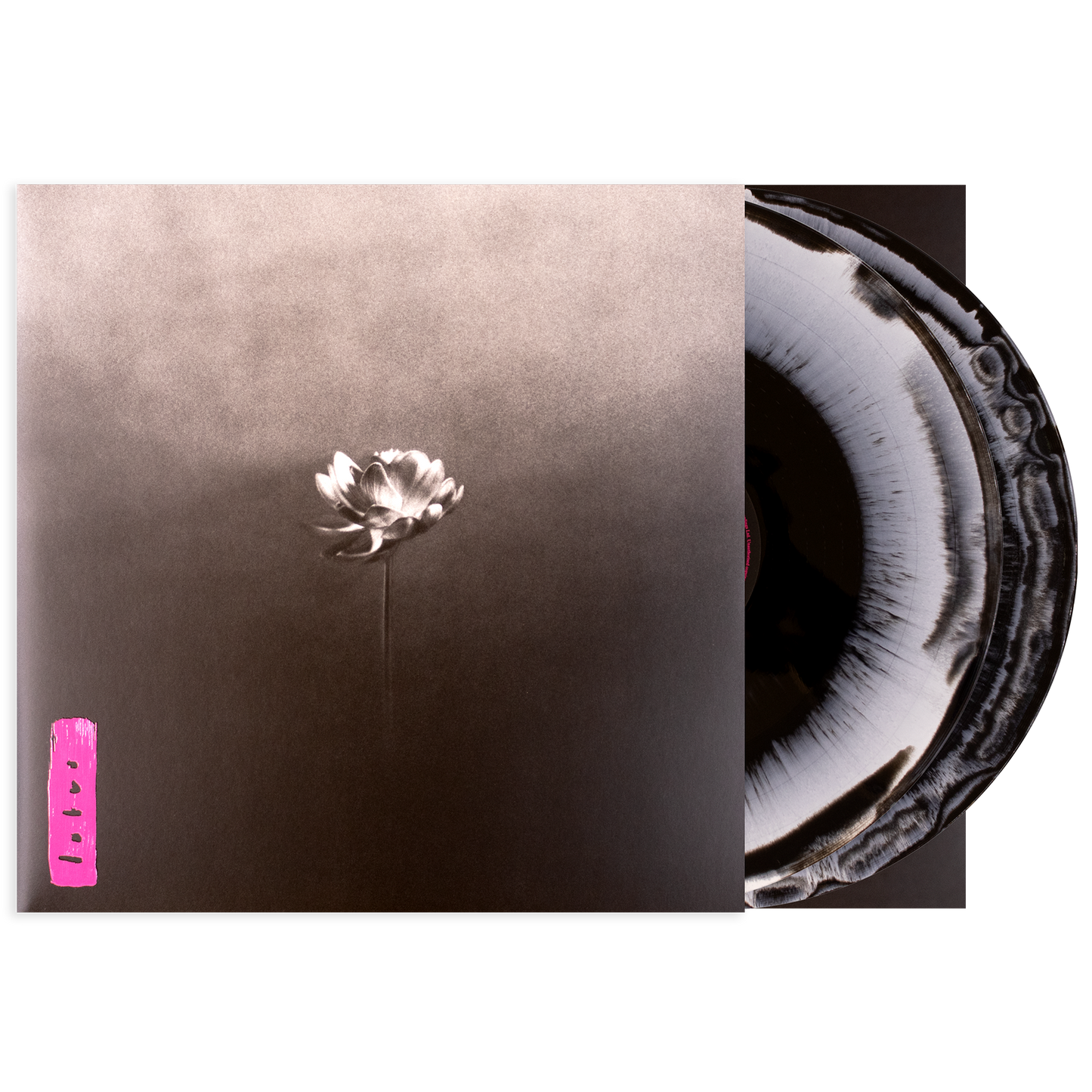 Lotus