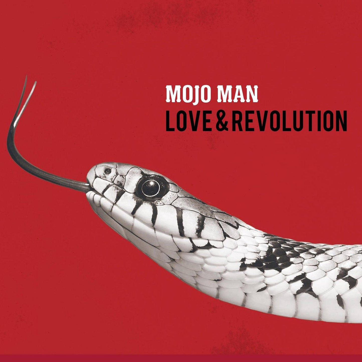 Love and Revolution