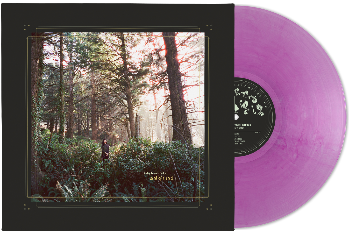 MB066LP2_MockUp-1.png