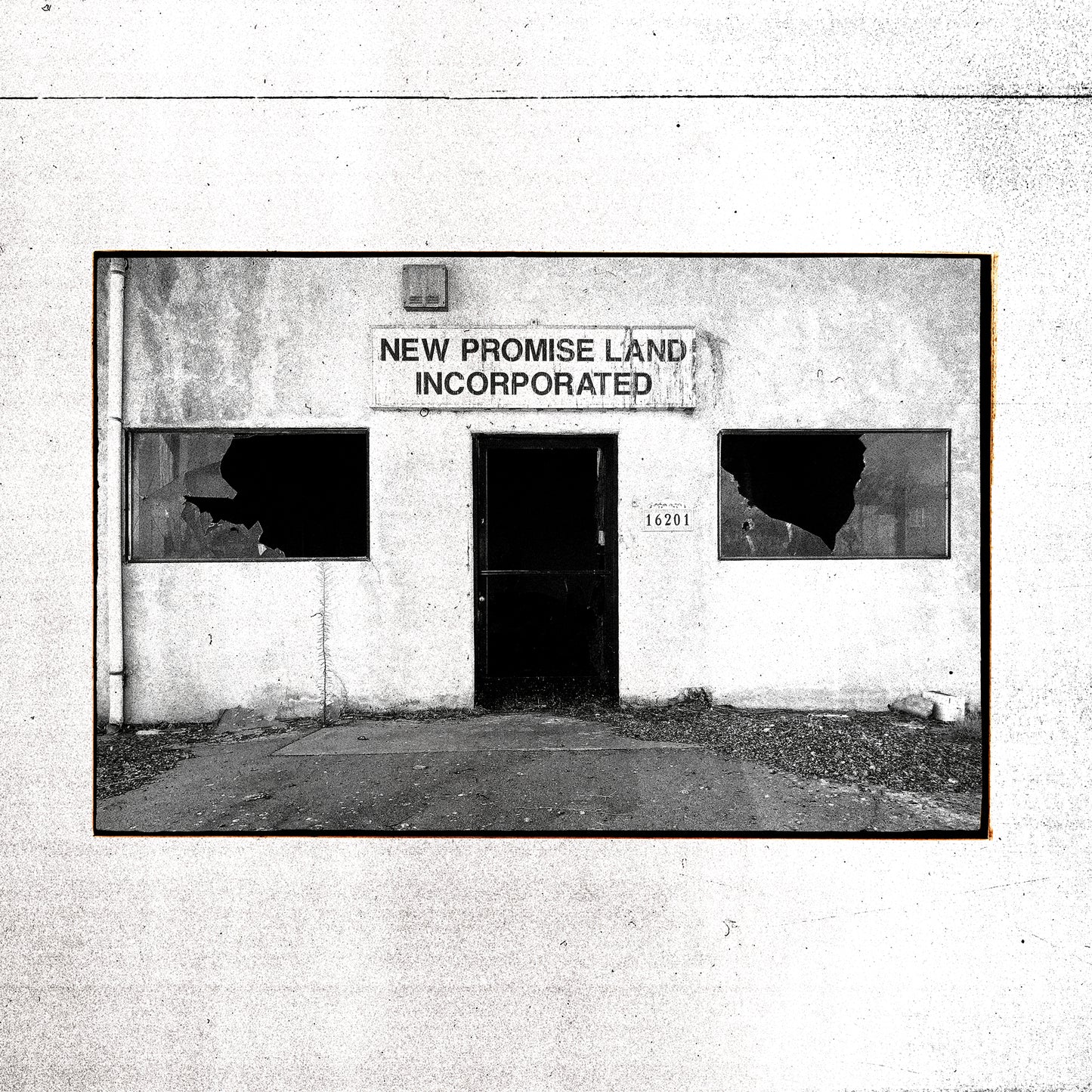 New Promise Land Incorporated