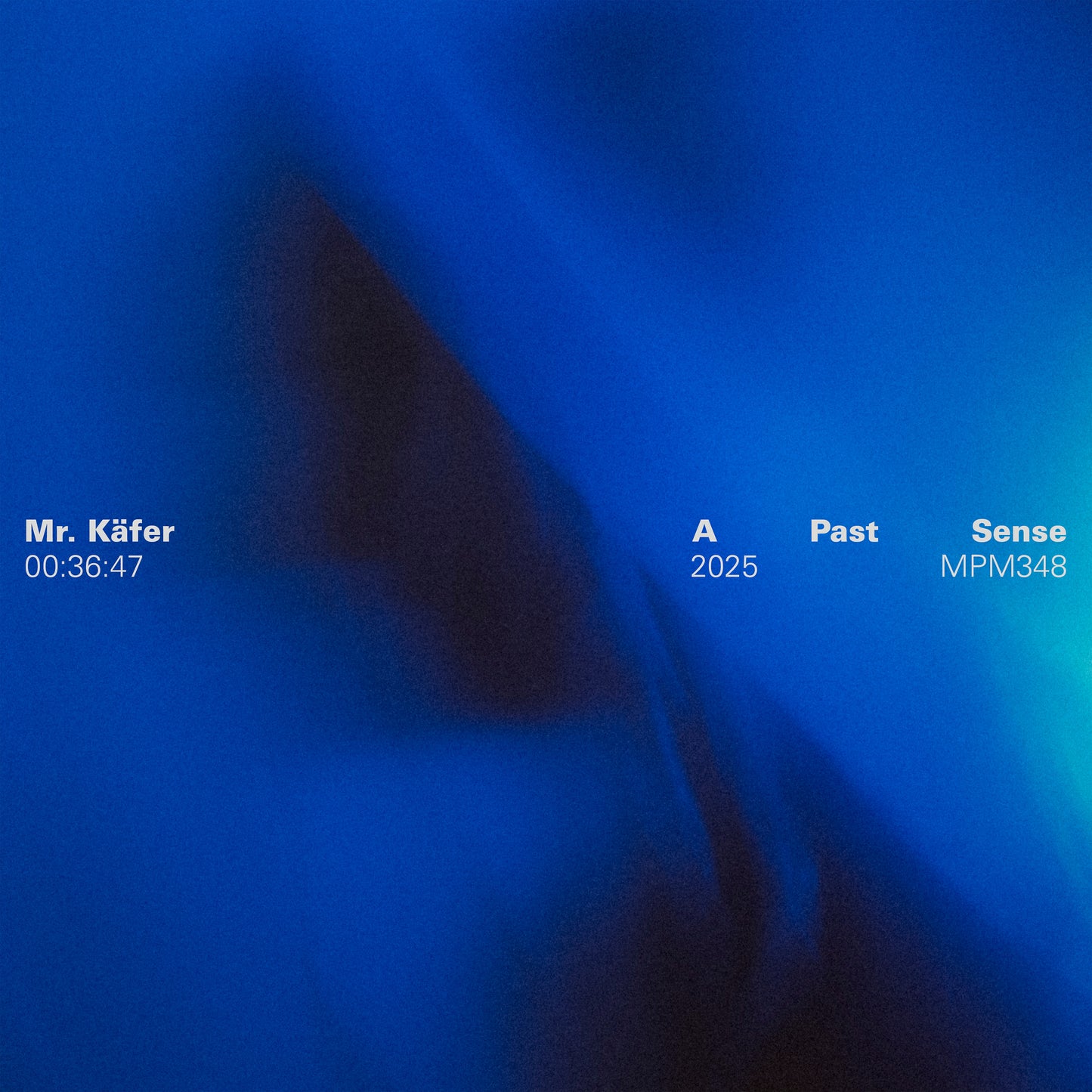 A Past Sense