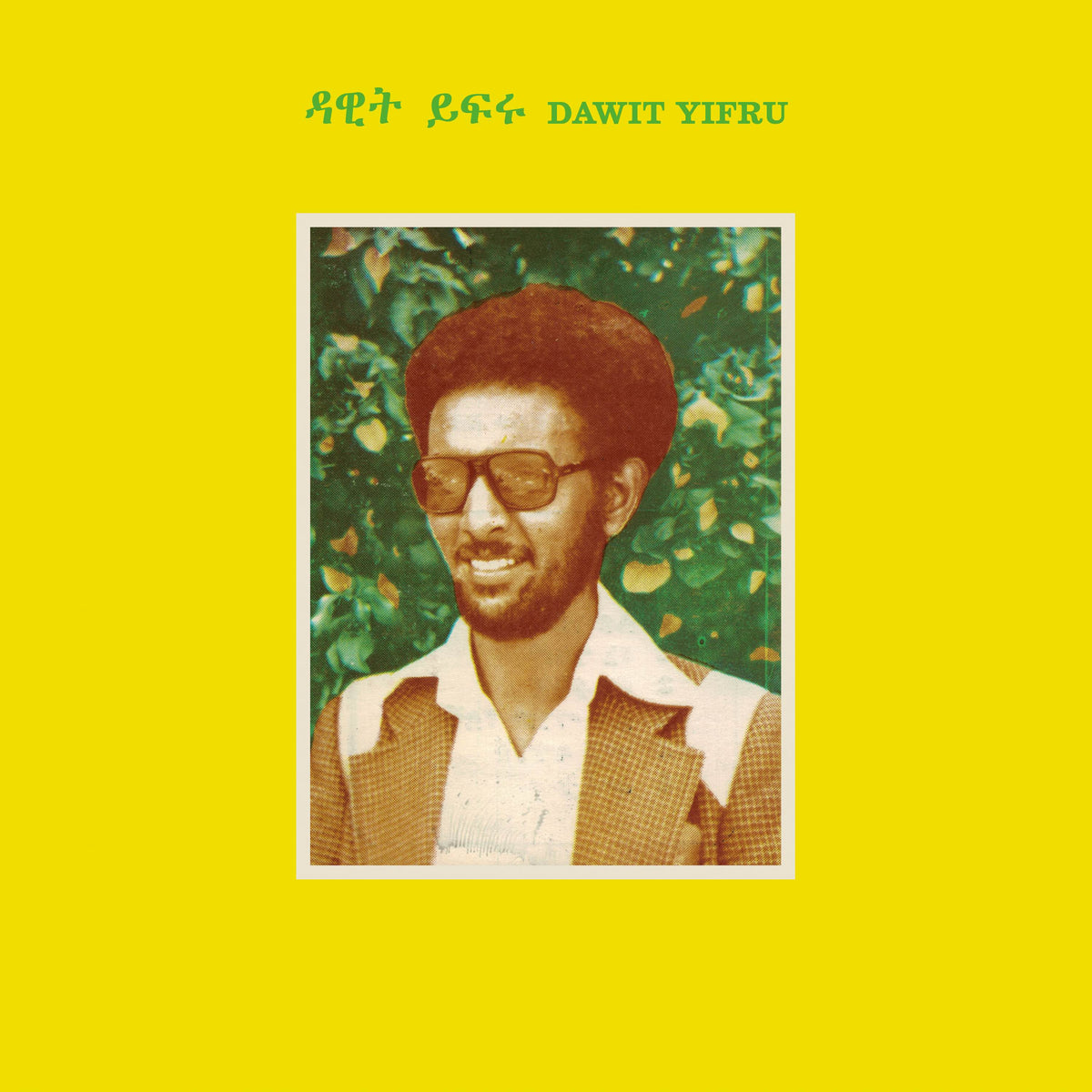 Dawit Yifru