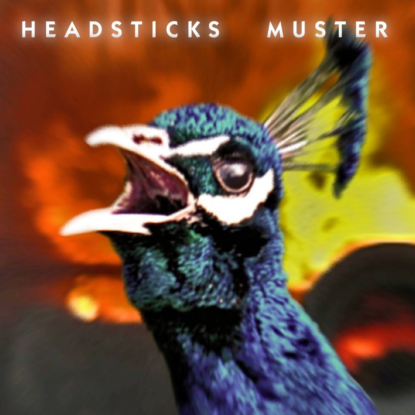 Muster