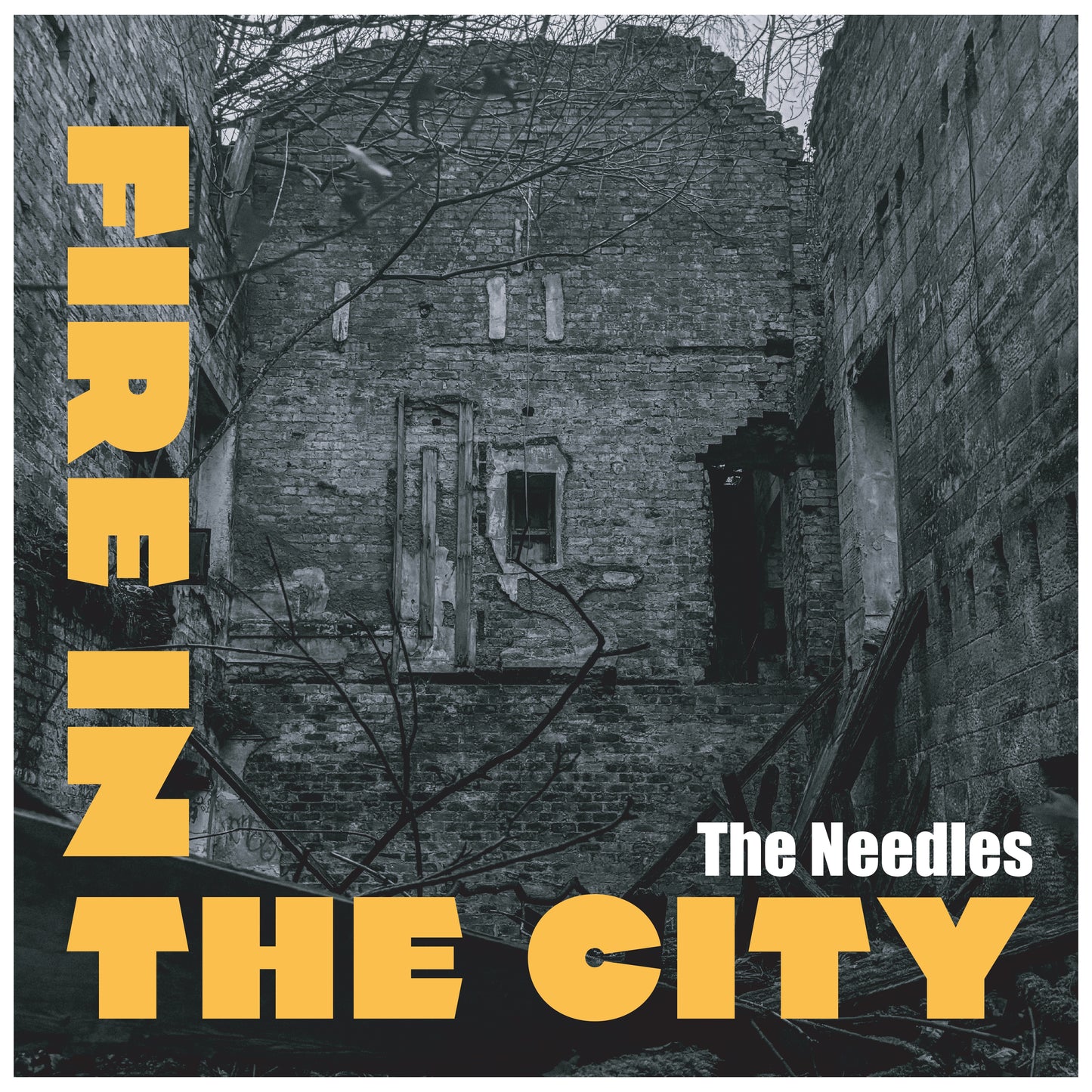Fire In The City