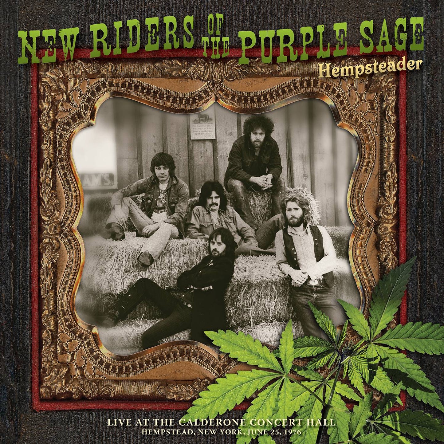 Hempsteader: Live at the Calderone Concert Hall, Hempstead, New York, June 25, 1976