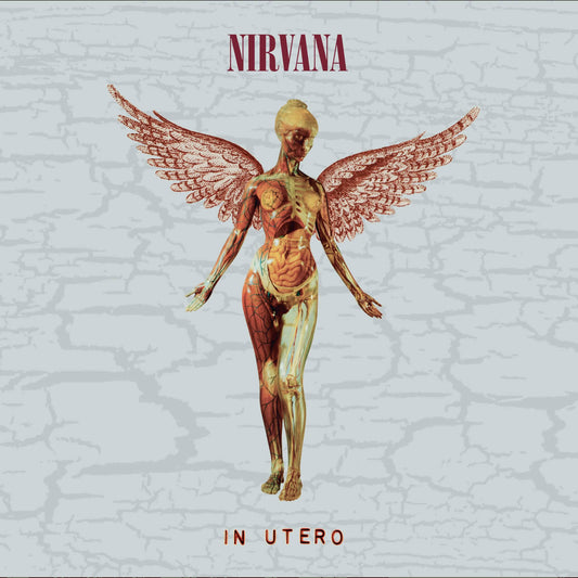 In Utero (30th Anniversary)