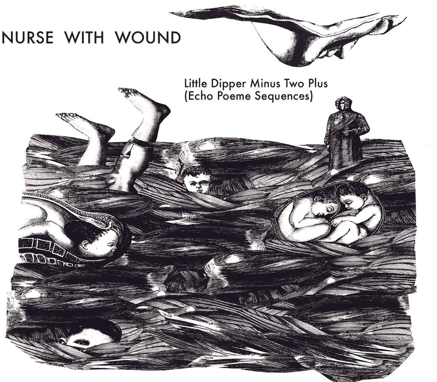 The Little Dipper Minus Two Plus (Echo Poeme Sequences)