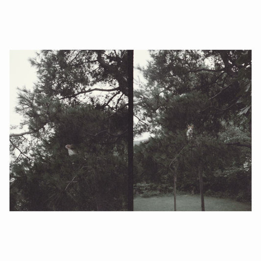 just like any other day (어느날) : background music for your mundane activities