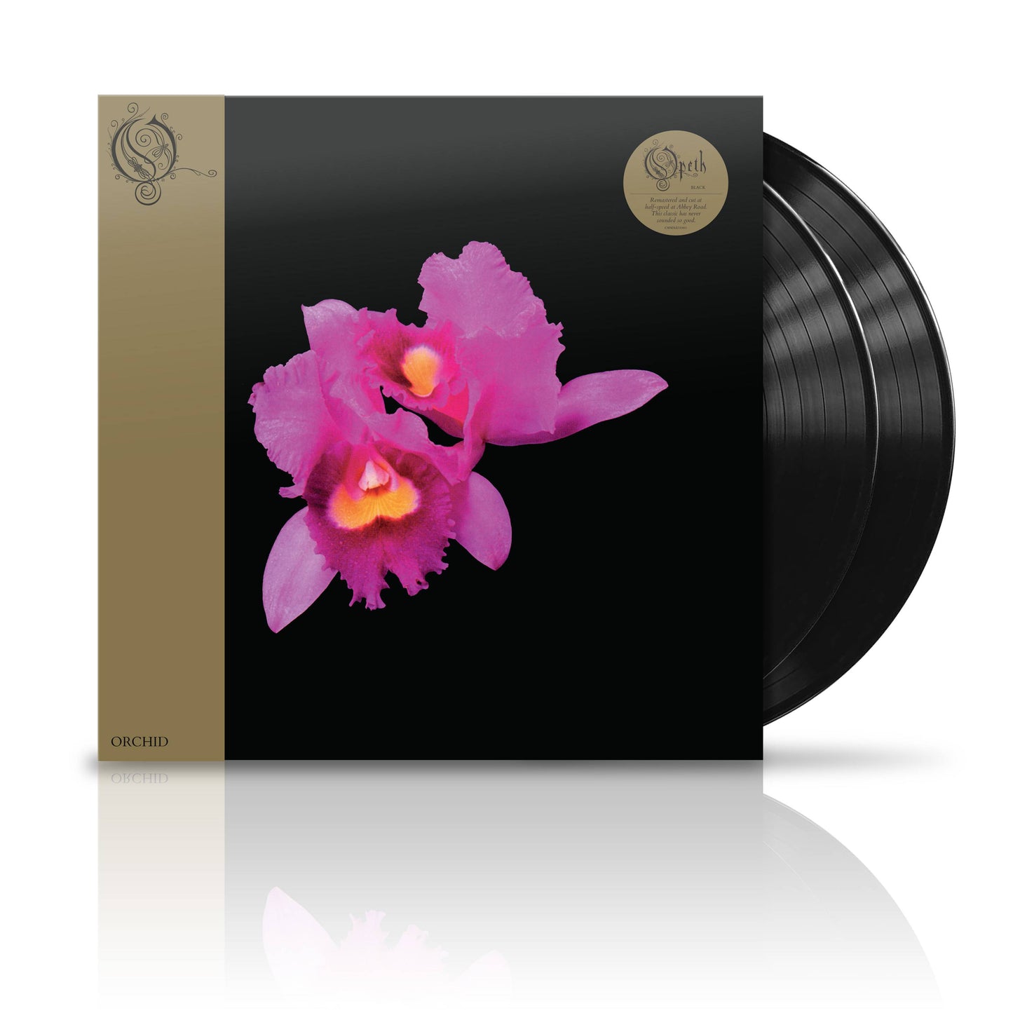Orchid 00602448333001 Black (1).jpg
