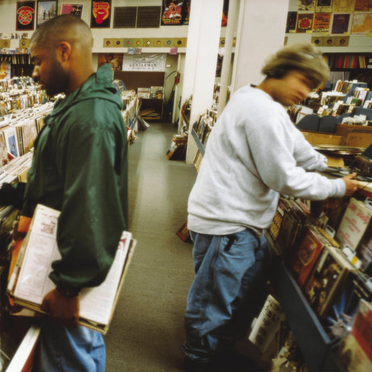 Endtroducing