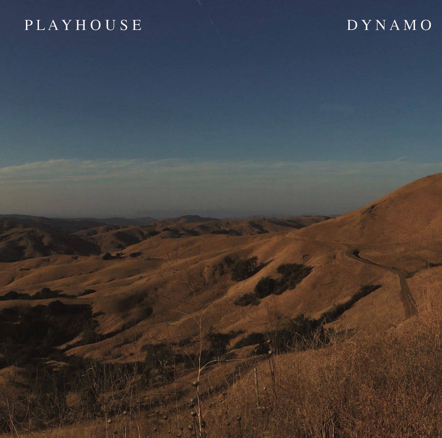 Dynamo