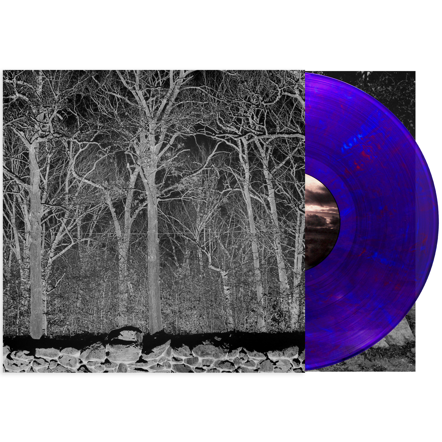 Sunshine and Balance Beams