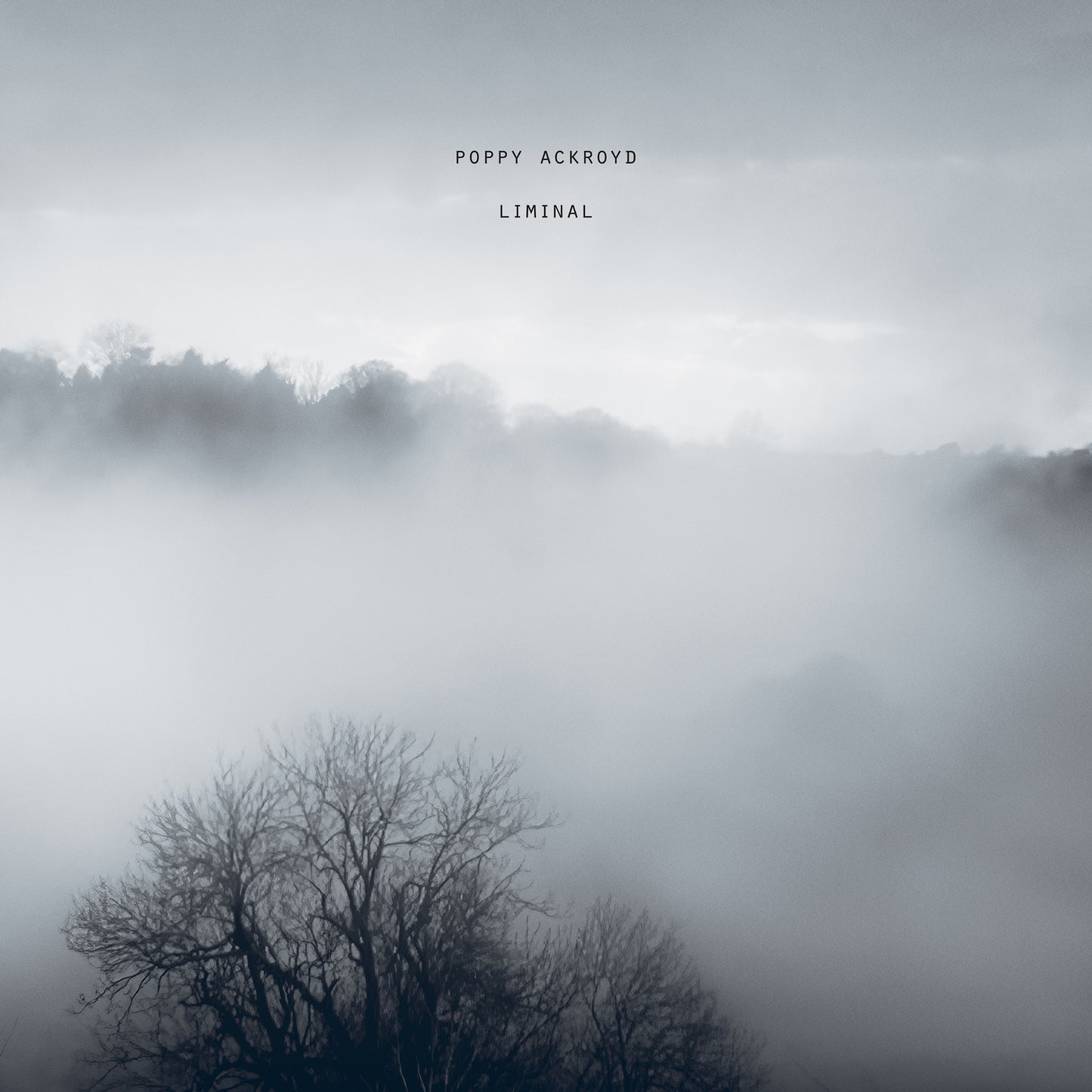 Liminal