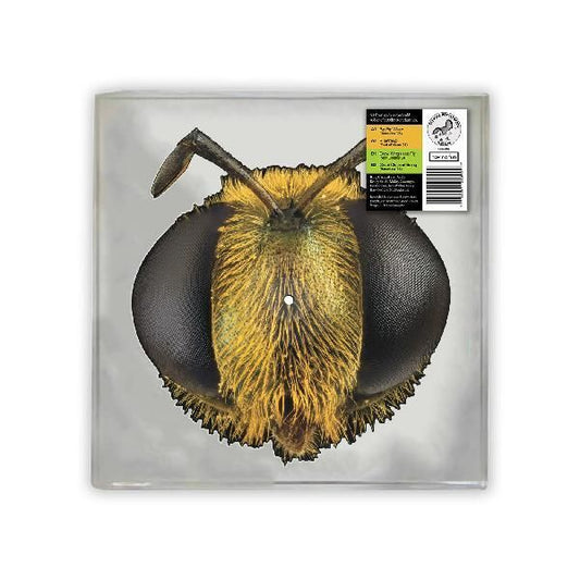 King Gizzard and The Lizard Wizard - Big Fig Wasp - RSD 2026 Product Image