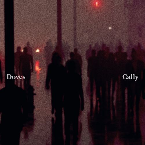 Doves - Cally/Lean Into The Wind Product Image
