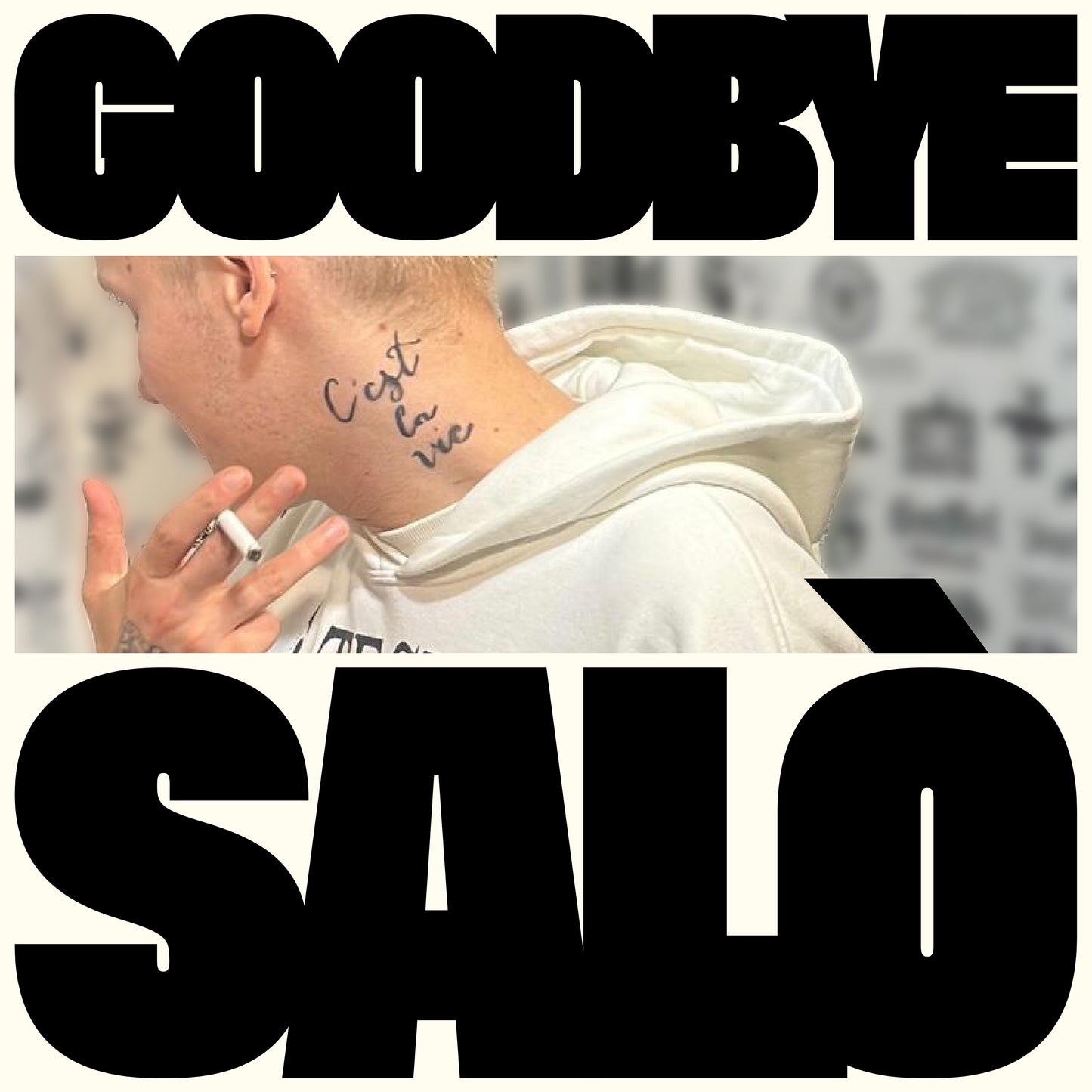 Goodbye Salò The Remixes