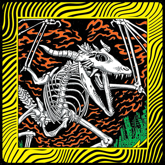Acoustic Gizzard - Live in Detroit 2024