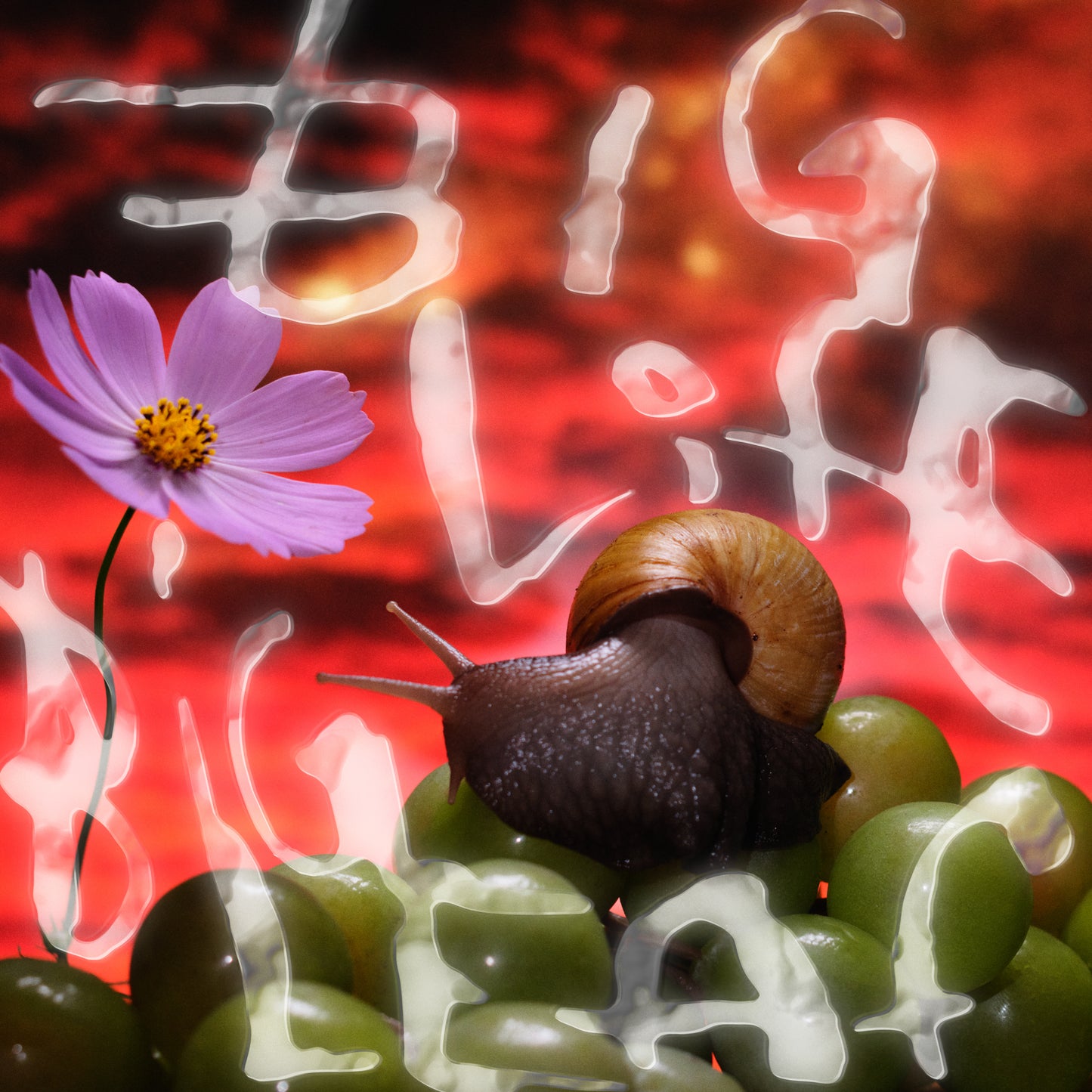Big Life, Big Leaf EP