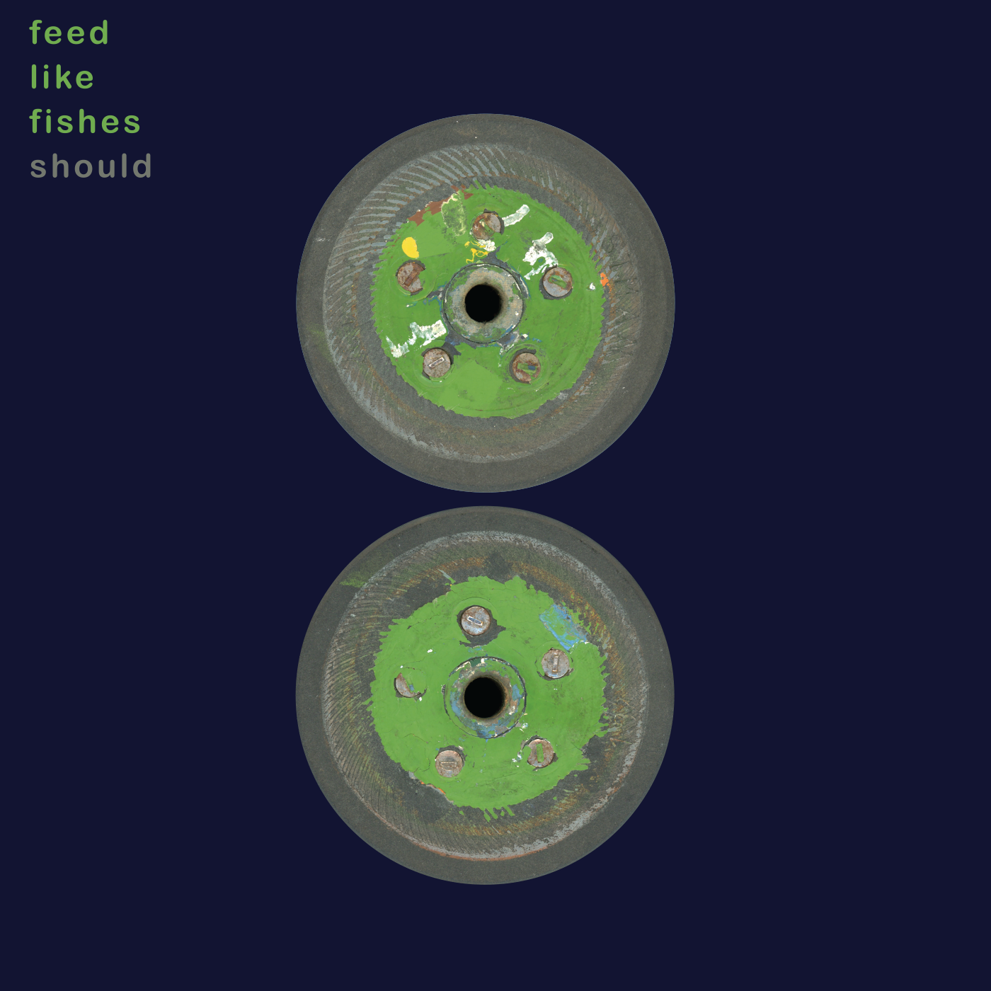 Feed Like Fishes