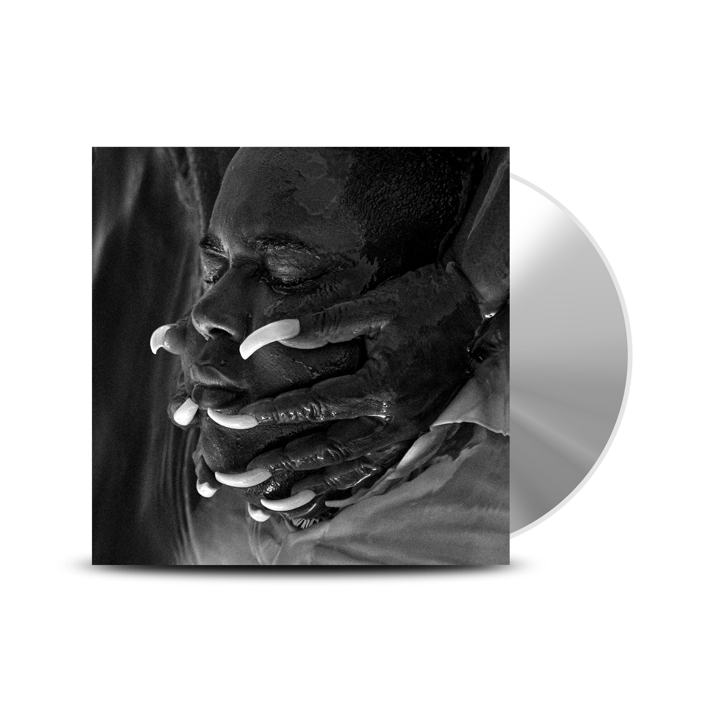STANDARD CD.png