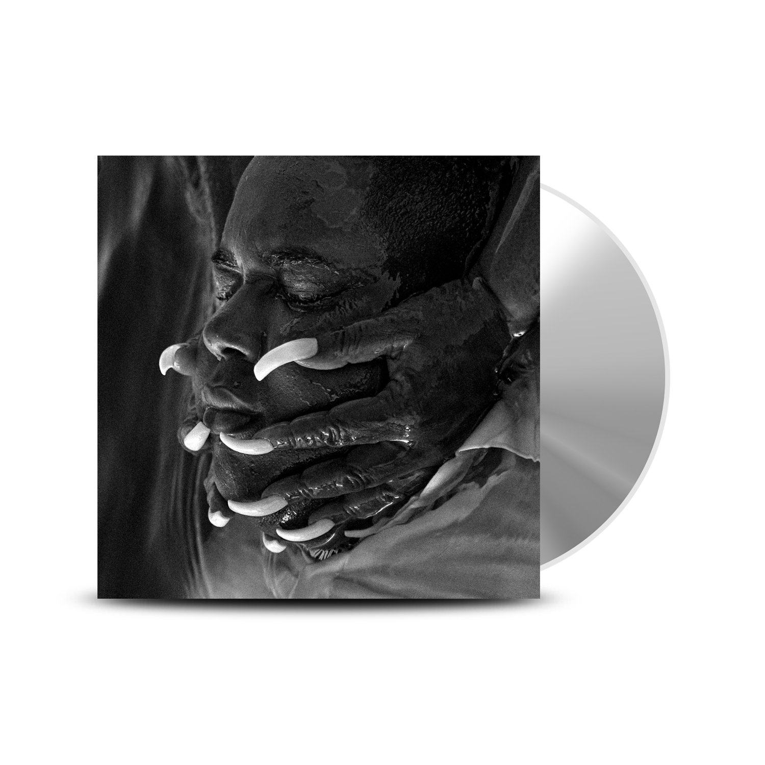 STANDARD CD.png