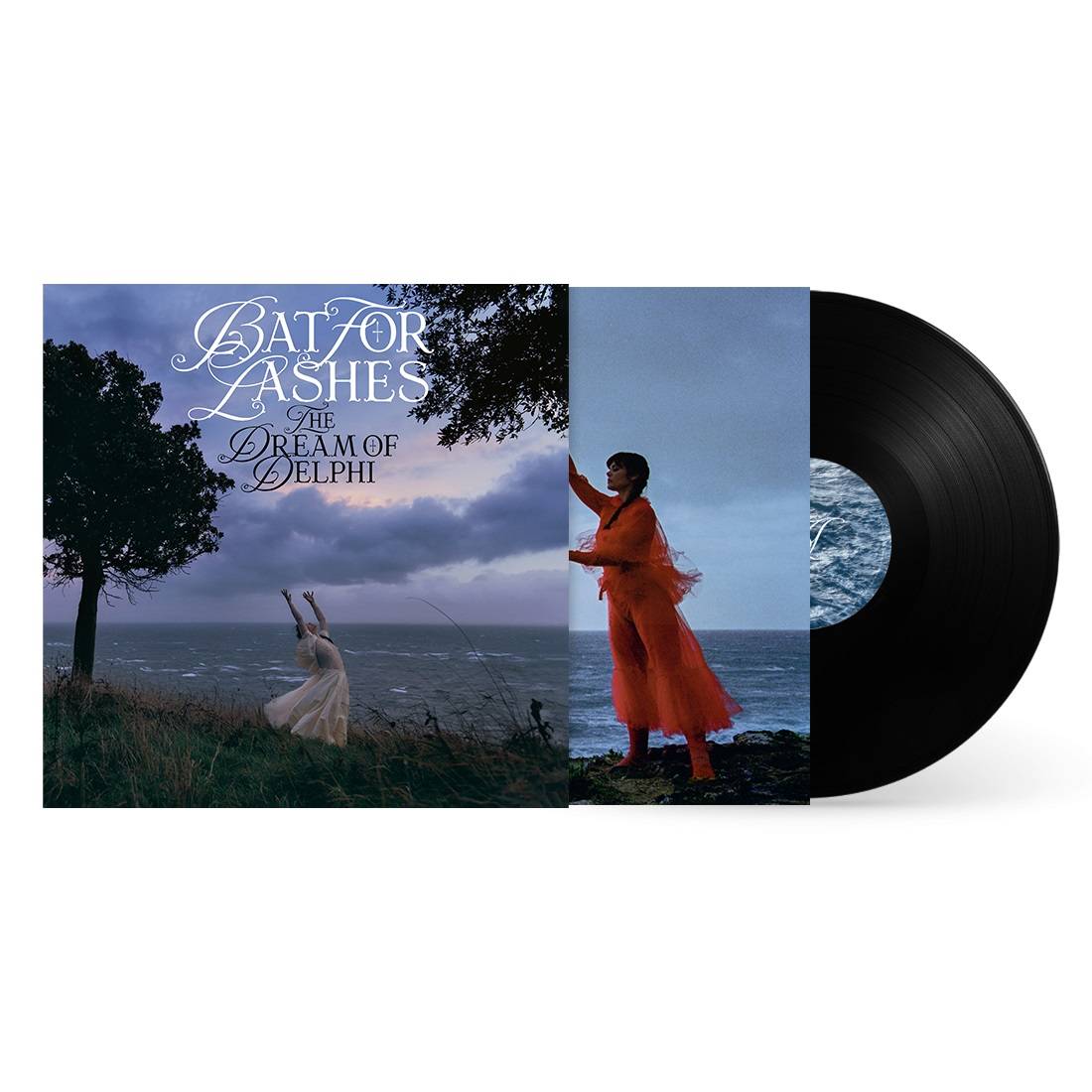 STD black Vinyl.jpg