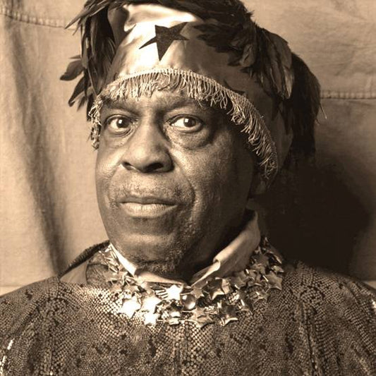Inside The Light World: Sun Ra Meets The OVC - RSD 2024