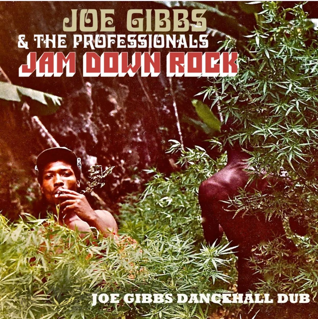 Jam Down Rock - Joe Gibbs Dancehall Dub