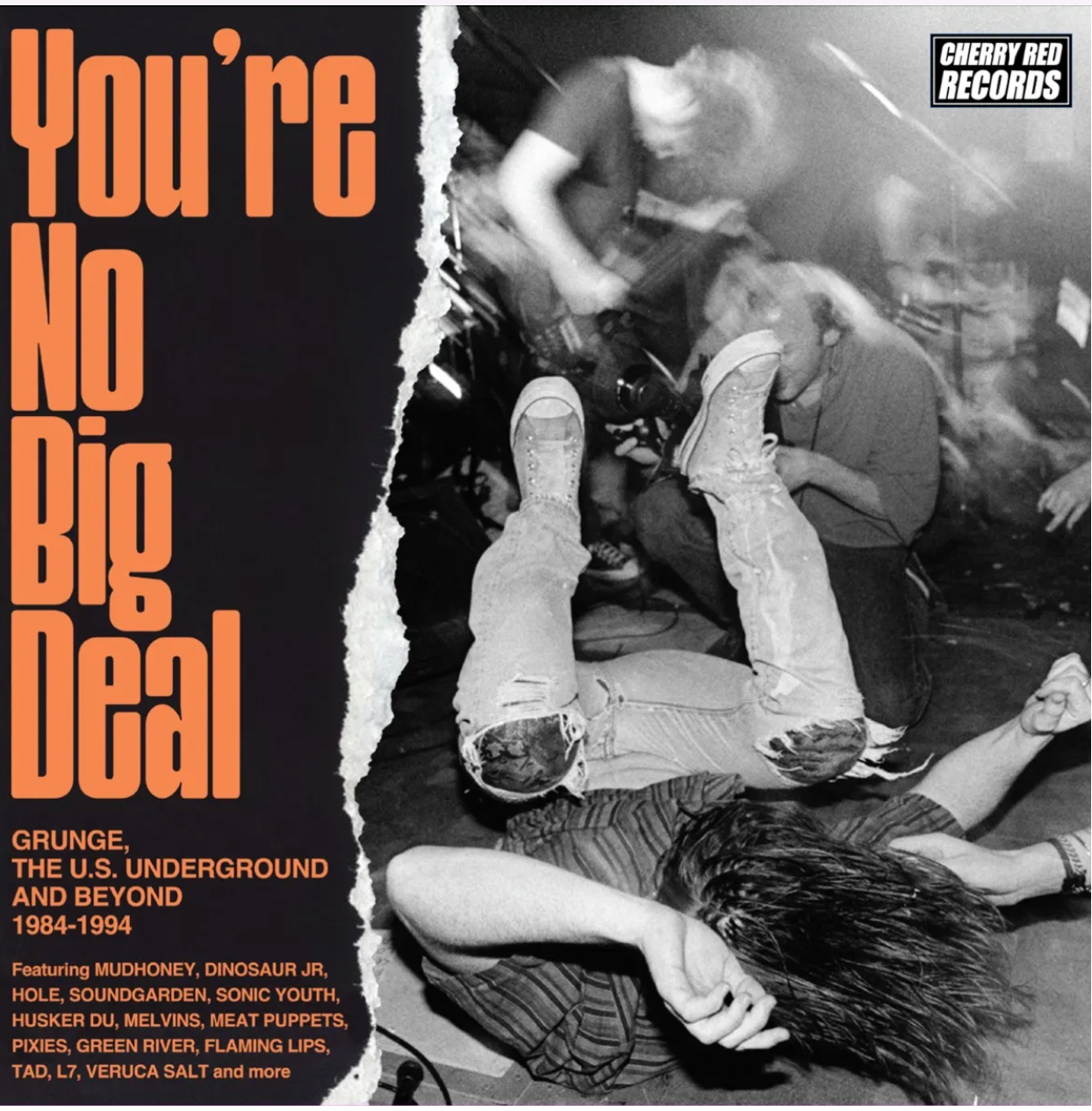 You’re No Big Deal - Grunge, The US Underground and Beyond 1984-1994
